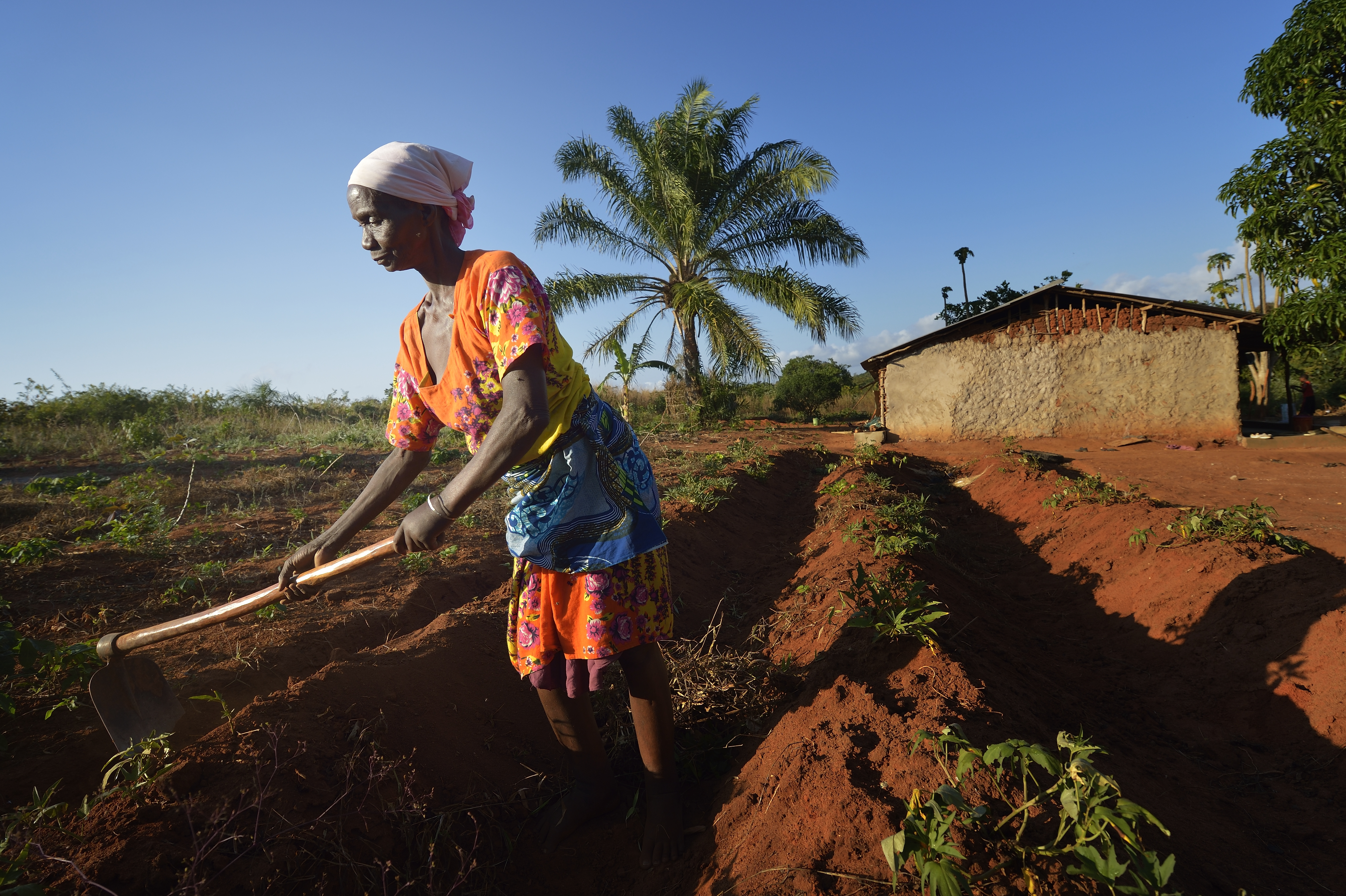 Women in Tanzania works the soil in a field with a concrete structure in the background