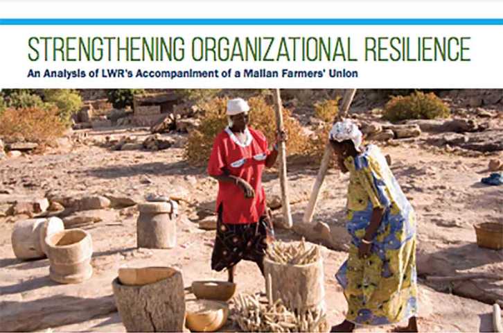 Strengthening Organizational Resilience: An Analysis of LWR's Accompaniment of a Malian Farmers' Union