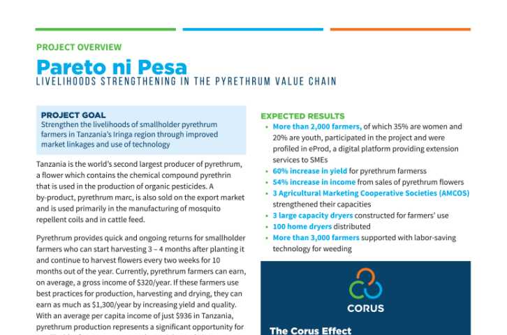 Pareto ni Pesa: Livelihoods strengthening in the pyrethrum value chain