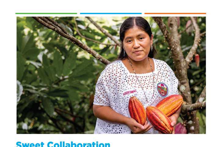 Sweet Collaboration: Lutheran World Relief's partnership with cocoa cooperative ADIOESMAC