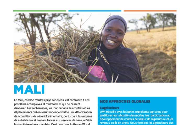 Aperçu du Mali