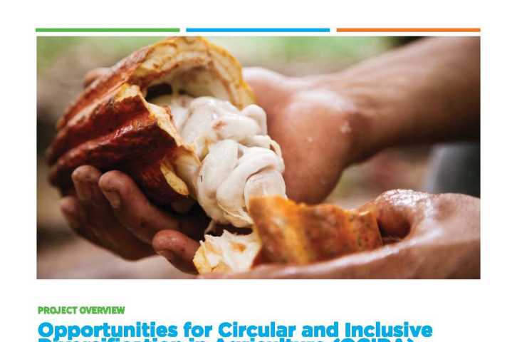 Opportunities for Circular and Inclusive Diversification in Agriculture (OCIDA) 