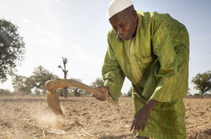 Man in white cap and long green tunic tills dry and dusty land