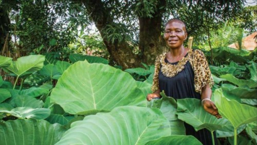 Anastasie Tshimbila was one of the first people trained in IMA’s nutrition program in DRC to feed malnourished infants and to do gardening. (Photo by Crystal Stafford)