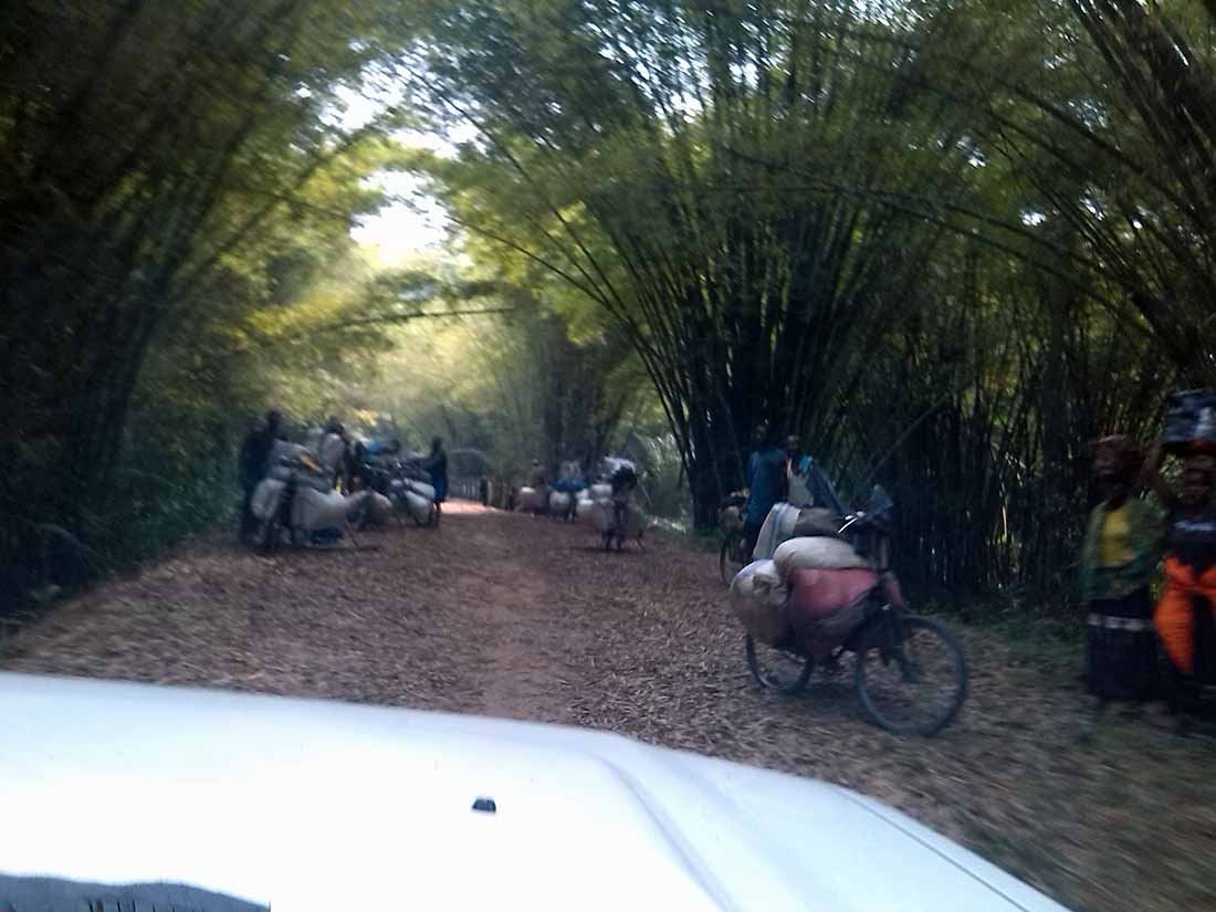 The IMA team traveled along the Mweka/Bulape road in the province of Kasai on their way to complete their important work. (Photo by Carlos Nyembwe/IMA World Health)